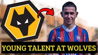 🟡⚫MY OUR URGENT NEWS FROM THE WOLVES TRANSFER WINDOW [upl. by Llirrehs]