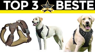 Hundegeschirr Test 2024 💎 TOP 3 beste Hundegeschirr [upl. by Asilad]