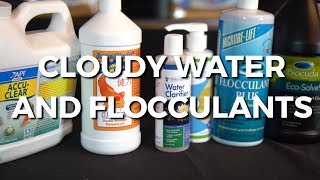 Cloudy Water and Flocculants [upl. by Shugart226]