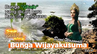 Bunga GHAIB yang dicari para Raja dan Penguasa  Penelusuran Bunga Wijayakusuma Healing2255 [upl. by Ikkin420]