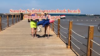 Sunrise Sentido Mamlouk palace resort beach tour hurghadaegypt🇪🇬 [upl. by Mascia]