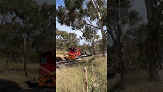 TRAINS AM22 Steamranger Heritage Railway transfer with 507 at Stirling Hill Rd S Australia 291023 [upl. by Werdma196]