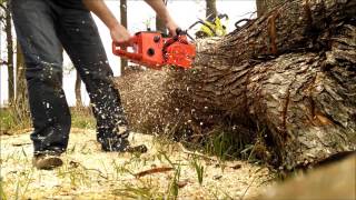 Sachs Dolmar KMS4 Wankel Rotary chainsaw [upl. by Kordula]