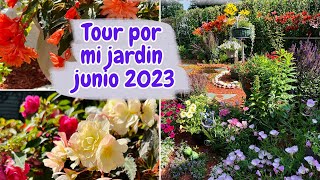 Tour por MI JARDÍN Junio 2023 [upl. by Riella]