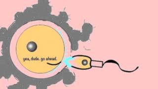 Embryology Fertilisation Video [upl. by Traci]