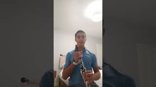 Holsinger Abrams Pursuit Clarinet 1 Excerpt [upl. by Frisse262]