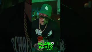 El Jhota Volando Bajito music [upl. by Hgielsel965]