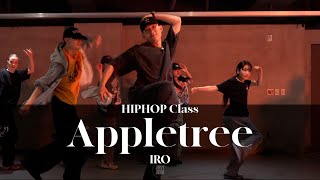 IRO HIPHOP CLASS  Erykah BaduApple tree  justjerkacademyewha [upl. by Ainafetse]