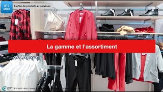 MCO OPS2 La gamme et lassortiment [upl. by Assilat]