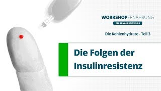 KOHLENHYDRATE 36 Die Folgen der Insulinresistenz Metabolisches Syndrom  Workshop Ernährung [upl. by Aicac]