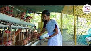 bv380 kozhi in kerala Alappuzha  terrace poultry farming  3six [upl. by Happ]