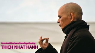 Namo Avalokiteshvara  Plum village Chanting  THICH NHAT HANH [upl. by Nahtnamas]