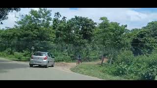 Binnakandi Tea Estate Silchar [upl. by Conias780]