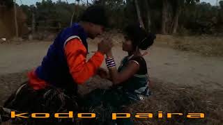 Kodo paira ma re  कोदो पैरा म रे [upl. by Griselda]