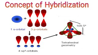 Concept of Hybridization  Why carbon is tetravalent  Knowledge academy [upl. by Einra]