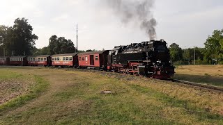 🚂🚂💪💪🌲🌲 99 7243 verlässt mit viel Getöse den Bahnhof Gernrode Harz 06092024 🌲🌲💪💪🚂🚂 [upl. by Yromem]