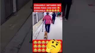 cogumelo imitando seu dono para com isso cogumelo 😂😂😂😂😂 [upl. by Yahiya260]