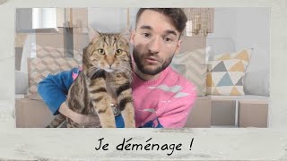 JE DÉMÉNAGE   Le Journal de Brice [upl. by Naitsabes]