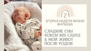 ✨ 2 НЕДЕЛИ МАЛЫШУ 🥰 ФИГУРА ПОСЛЕ РОДОВ  КОКОН RED CASTLE  МОБИЛЬ В КРОВАТКУ [upl. by Ecirtam]