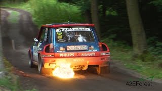 The Best of Rallye 2016  25 actionpacked minutes with real pure sound HD [upl. by Asilam]