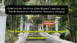 The Sacred Garden of Bambaragala Lord Buddha’s Birthplace Sri Lanka [upl. by Norby]