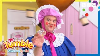 Best Aunt Polly Moments 🌸 InternationalWomensDay  Mr Tumble and Friends [upl. by Glynis]