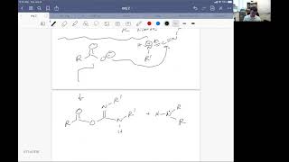 Org 2 Lecture 99 Introduction to Amides and Amines [upl. by Bowe]