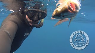 Spearfishing Greece  Introducing the GanG Los CubaRos 3 PescaFanClub [upl. by Wrand]