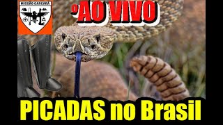 A perneira suporta picada de cobra E as luvas e botas do Brasil Tudo sobre picada de serpente [upl. by Anerdna132]