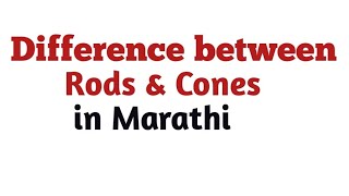 Difference between Rods and Cones [upl. by Ieluuk]