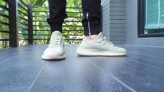 Yeezy Boost 350 V2 Antlia on Feet [upl. by Ostap]