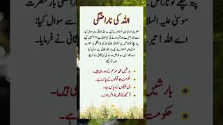 Allah ki narazgi urdu quotes motivation islamicquotesinurdu islamicstatus queetislam [upl. by Neral881]