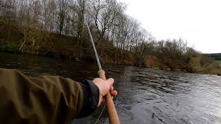 SALMON FISHING ON RIVER TWEED AT KAILZIE NOVEMBER 2020 PART 1 [upl. by Kenyon]