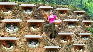 TIMELAPSE  30 Days Build Many Nest For Hens To Lay Egg  Harvest Chicken Egg Ducks Go To Sell [upl. by Milan49]