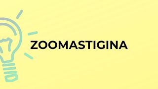 What is the meaning of the word ZOOMASTIGINA [upl. by Prince]