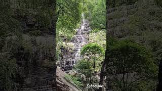 talakona waterfalls in Tirupati [upl. by Ninetta]