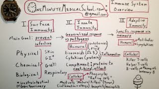 Immune System Overview  One Minute Medical School [upl. by Persse]