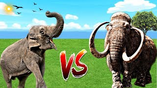 Elephant vs Prehistoric Animal X Kong Fight With SHINCHAN vs CHOP Epic Battle [upl. by Tekla414]