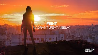 Feint  Vagrant feat Veela [upl. by Ikuy]