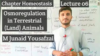 Osmoregulation in Terrestrial Land Animals  Kingdom of Biology  Chapter Homeostasis [upl. by Maxa]