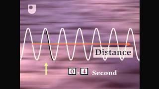 Oscillation and Wave Speed  Exploring Wave Motion 25 [upl. by Anihsat]