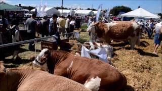 Oswestry Show 2016 [upl. by Nyrtak]