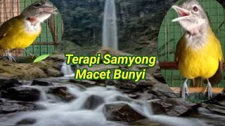 TERAPI SAMYONG MACET BUNYI [upl. by Etteb]