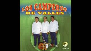 Los Camperos de Valles  El Andariego Disco Completo [upl. by Converse]