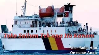 Bobo Lagu Timor Terbaru Dawan LaguLama TOKO SAILUM TEKANA HO KANAM [upl. by Vey]