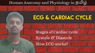 11 ECG and Cardiac Cycle in தமிழ் [upl. by Trstram]