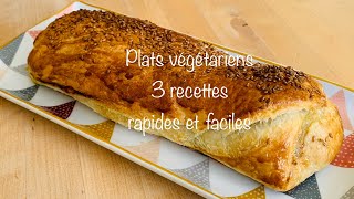 3 plats végétariens rapides et faciles à réaliser [upl. by Zednanreh661]