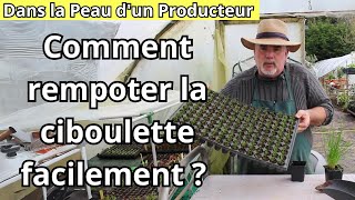 Comment Rempoter Votre Ciboulette Sans Stress  Les Conseils dun Expert [upl. by Atinreb]