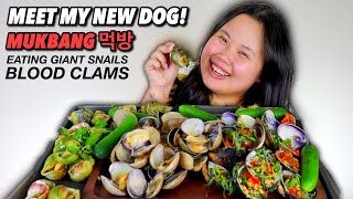 SNAILS ESCARGOT  BLOOD CLAMS  STEAMED AND GRILLED CLAMS SEAFOOD BOIL MUKBANG 먹방 EATING SHOW [upl. by Htebasile]