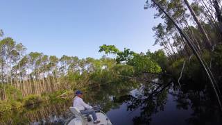 fishing on the crooked river carrabelle florida [upl. by Ahsinet]